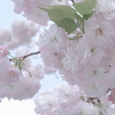 兽设配饰设计灵感福瑞群